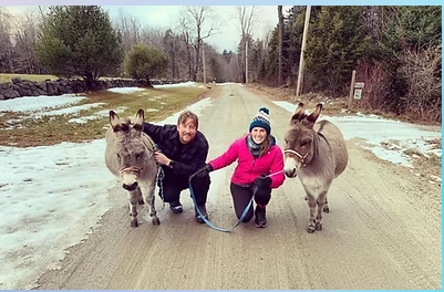 Bark and Bray Farm Animal Sanctuary